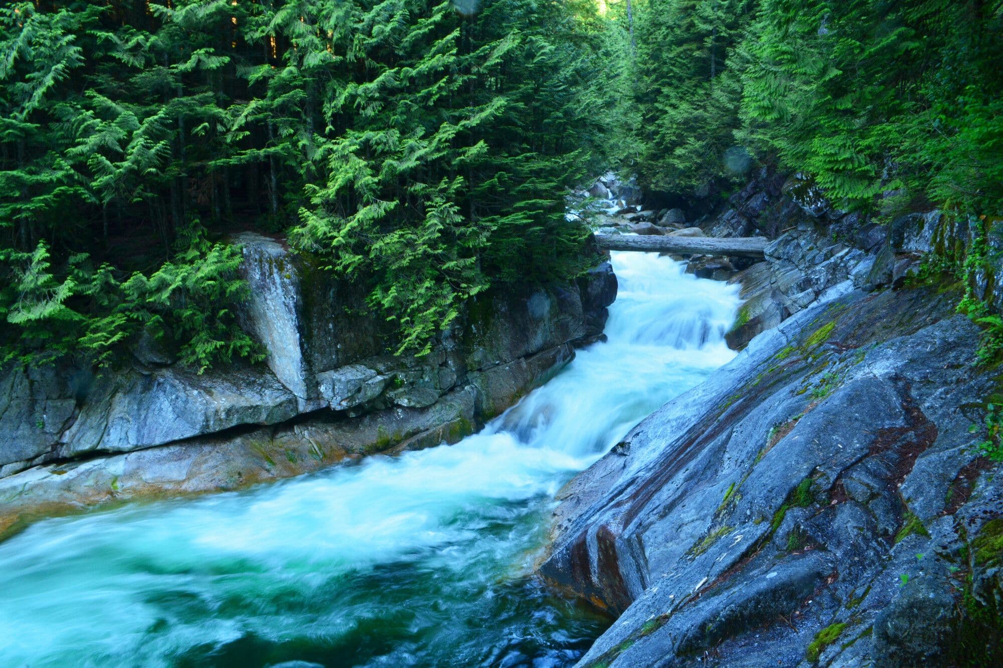 Golden Ears Park photo 2
