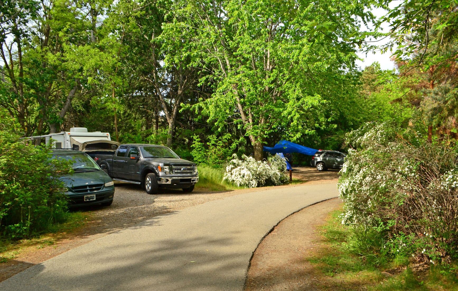 Bear Creek Park photo 8