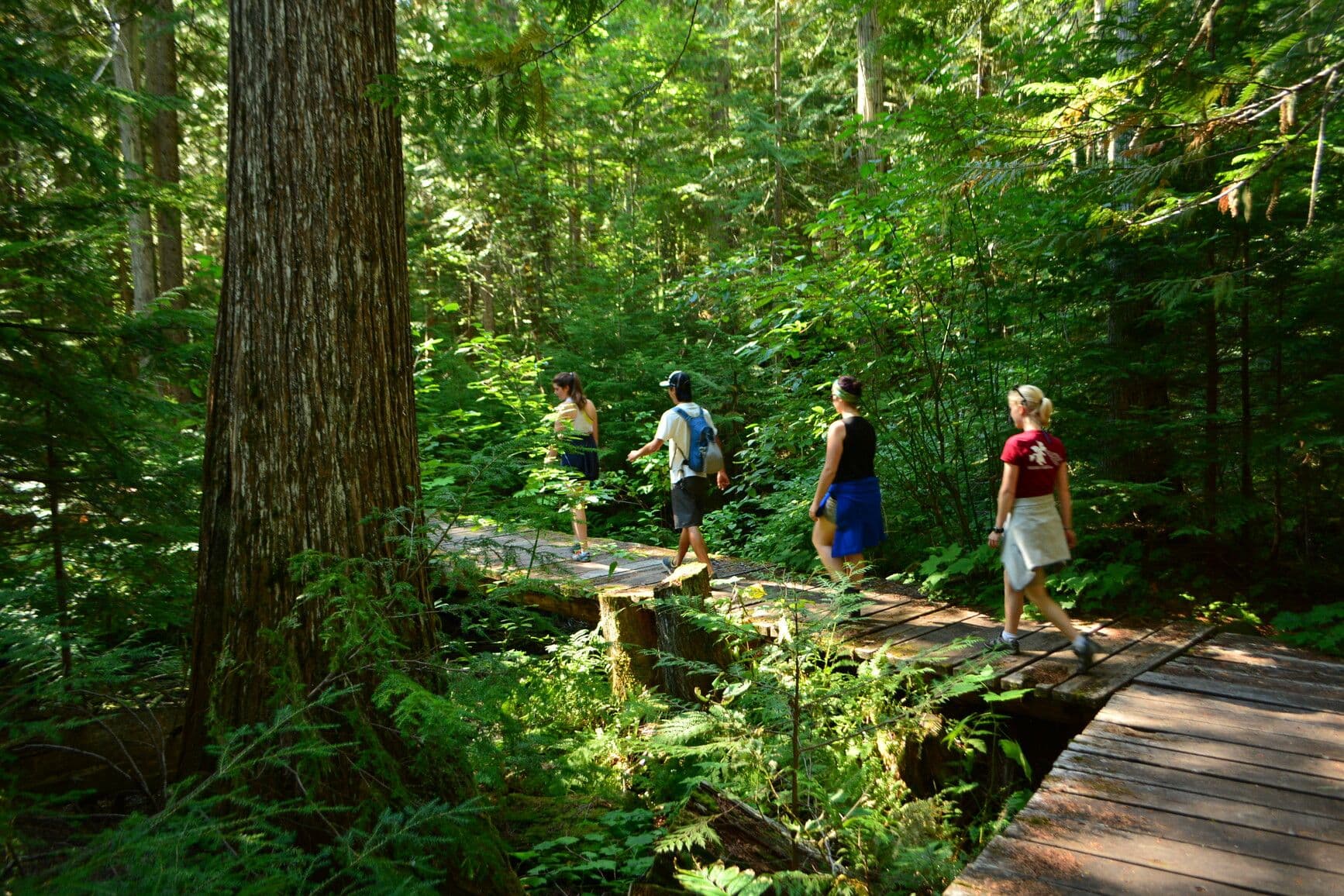 Birkenhead Lake Park photo 5